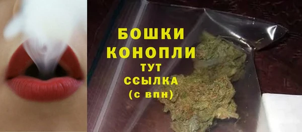 шишки Баксан