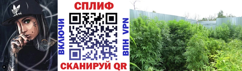 Бошки Шишки MAZAR  KRAKEN как войти  Питкяранта 